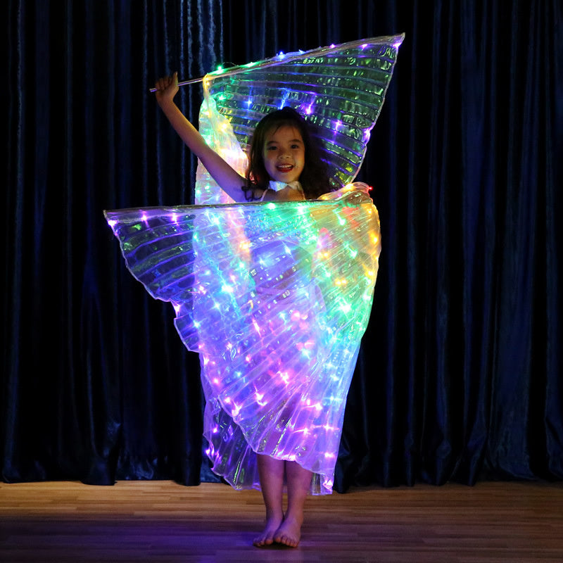 LED light wings